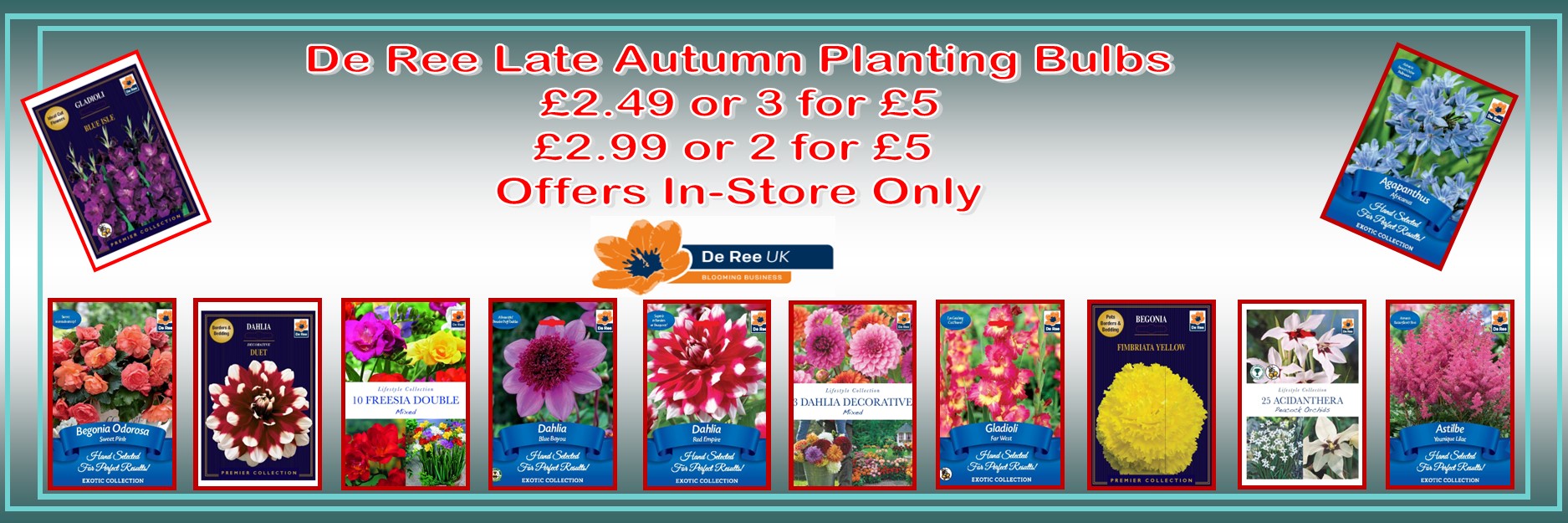 DeRee Autumn Planting Bulbs