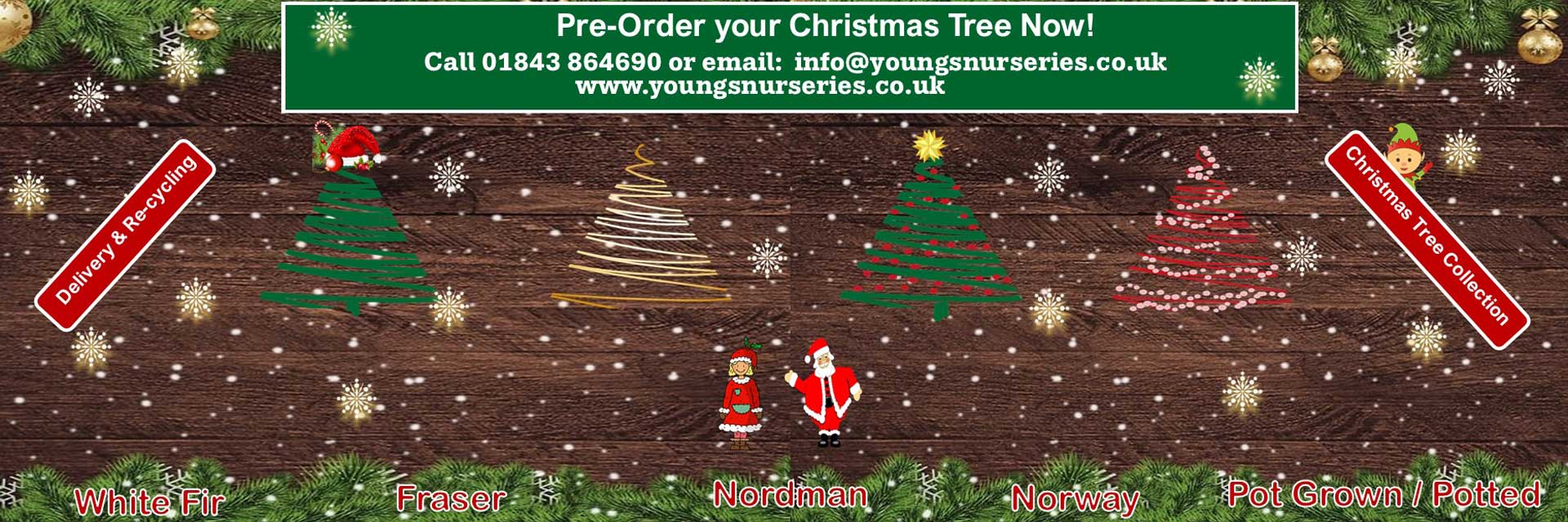 Pre-order your Christmas Tree Now!
