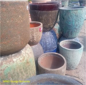 Pots & Planters