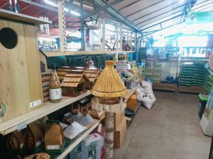 Wild bird care