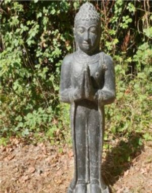 Buddha 'welcome'