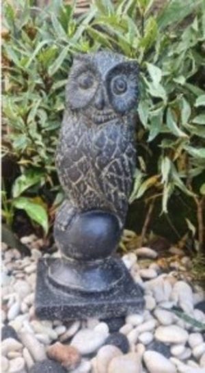 Owl medium
