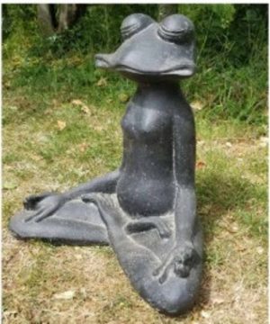 Frog Yogi