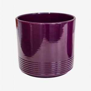 Cyclamen pot violet