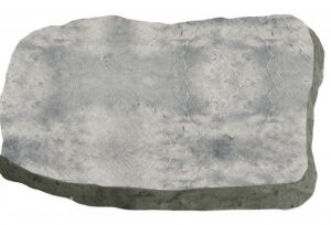 Weathered Random shaped Step Stone