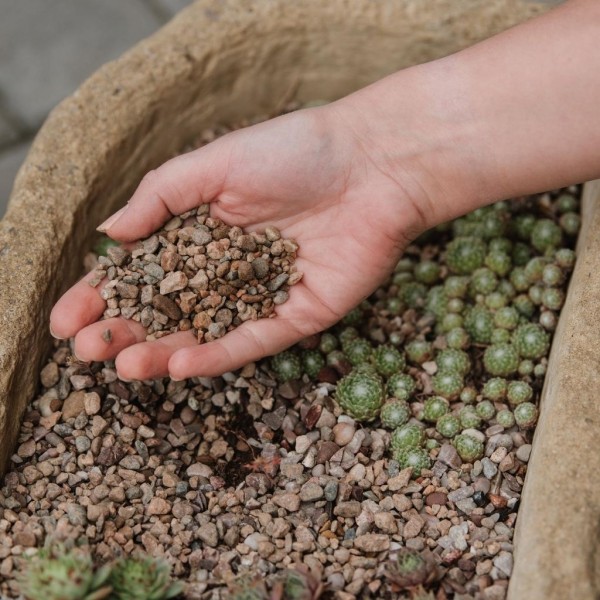 Westland Potting Grit 20kg - Image 3