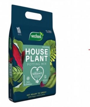 W Houseplant Compost 10L
