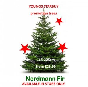 NORDMANN Fir. 165-200
Standard cut tree (NRDpromo)