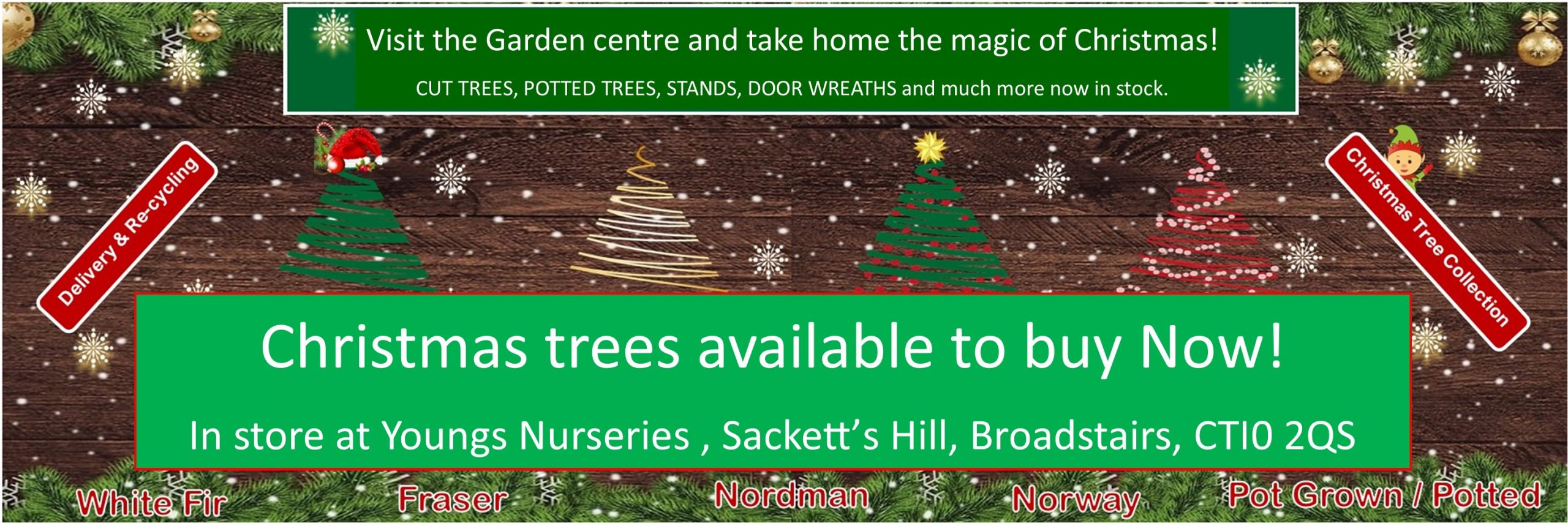 christmas trees available now