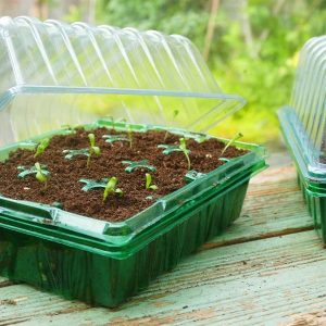 Gro-Sure Visiroot twin Propagator Set