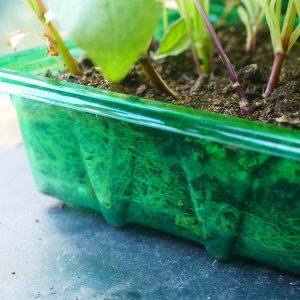 Gro-Sure Visiroot 9 Cell Tray 8 Pack