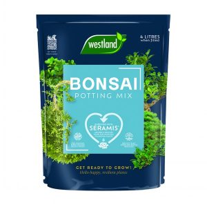 Westland Bonsai Potting Mix - 4L