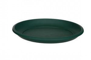 24cm Milano Saucer - Green