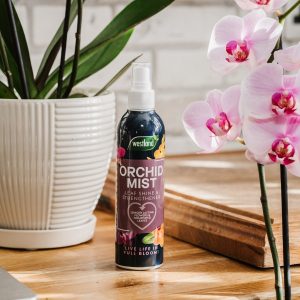Westland Houseplant Bug Control Spray
