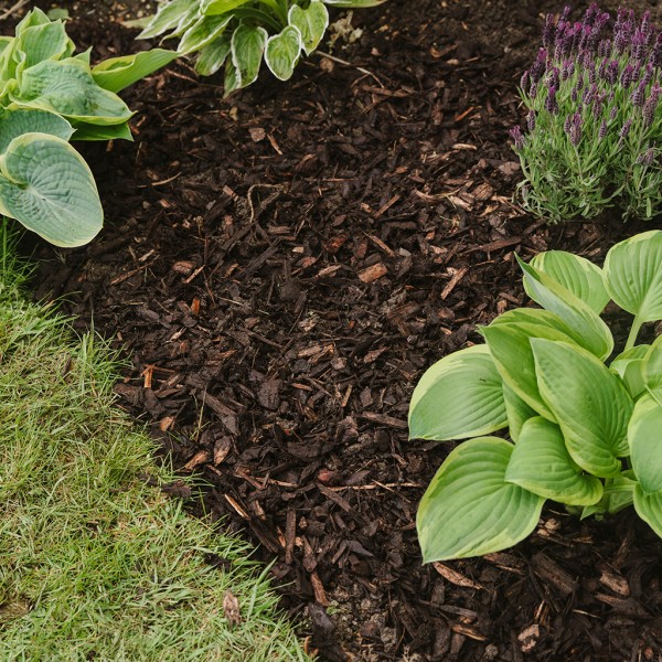 Westland Decorative Mini Bark 70L - Image 2