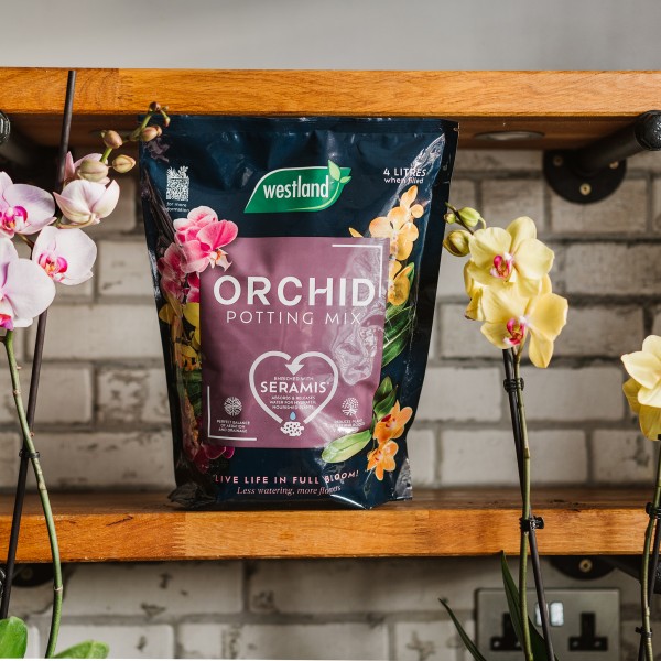 Westland Orchid Potting Mix 4L - Image 4