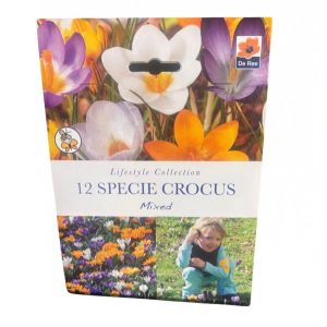 Crocus
Specie Crocus Mixed