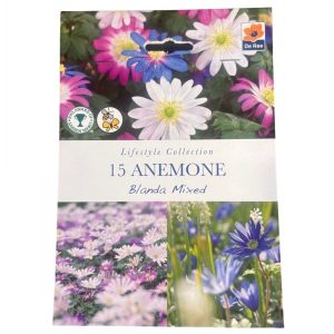 Anemone Blanda Mix