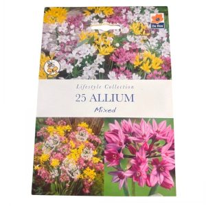 Allium Mixed