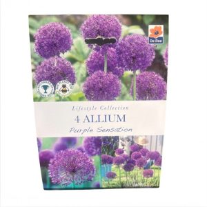 Allium Purple Sensation