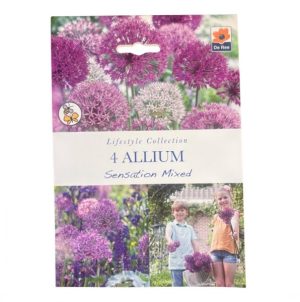 Allium sensation mixed