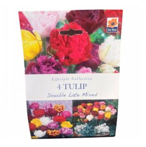 Tulip Double Late Mixed
