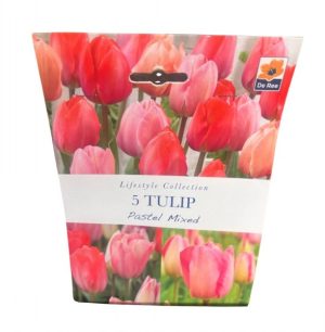 Deree Tulip pastel mx