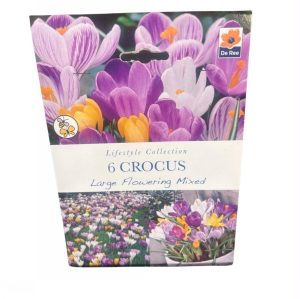 Crocus Large Flowering mixed