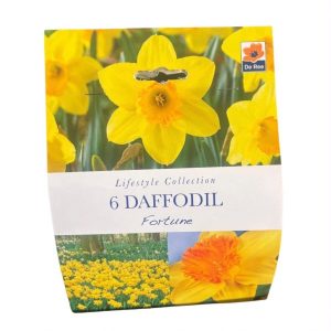 Daffodil Fortune
