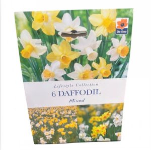 Daffodil Mix