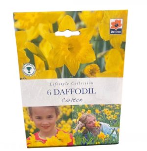 Daffodil Carlton