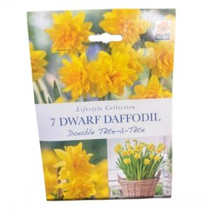 Dwarf Double Tete a Tete