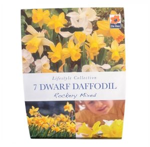 Dwarf Daffodil Rockery Mix