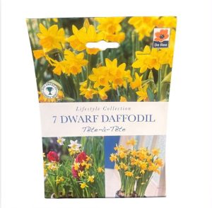Dwarf Daffodil Tete a Tete