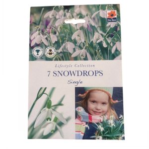 Snowdrop