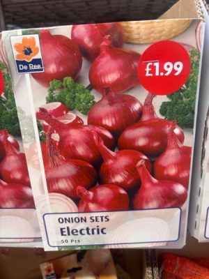 Onions -Red- Electric