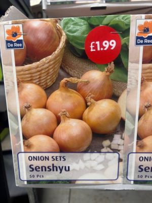 Onions Senshyu