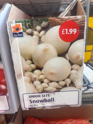 Onion Snowball