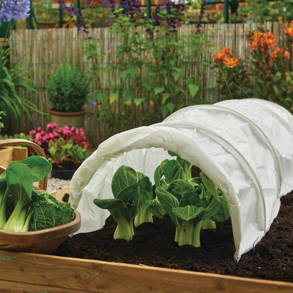 Weedstop Ultimate Path & Patio 50% Extra - Image 2